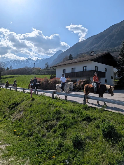 Passeggiata a cavallo con pranzo in rifugio 7 Passeggiata a cavallo con pranzo in rifugio 7